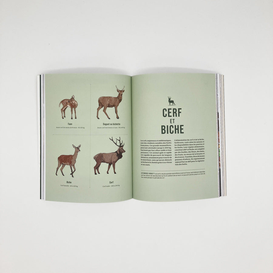 Livre de recettes Cuisiner la Viande sauvage écrit par Nemrod et Bruno Doucet