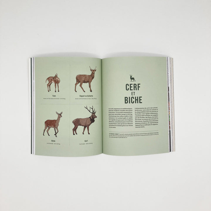 Livre de recettes Cuisiner la Viande sauvage écrit par Nemrod et Bruno Doucet