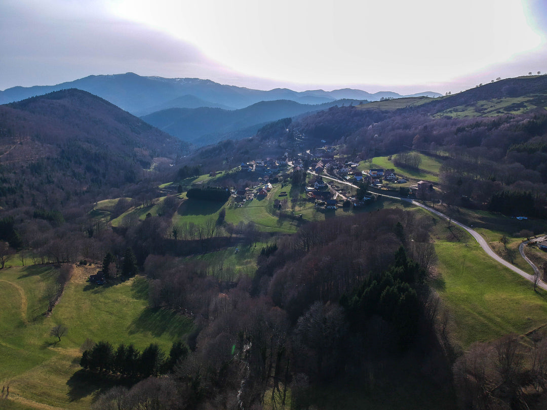 La chasse est-elle durable ? - Nemrod.co